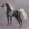 PREVIEW LISTING ONLY Mystery OOAK Dappled Grey Custom Arabian By Dawn Quick MM24