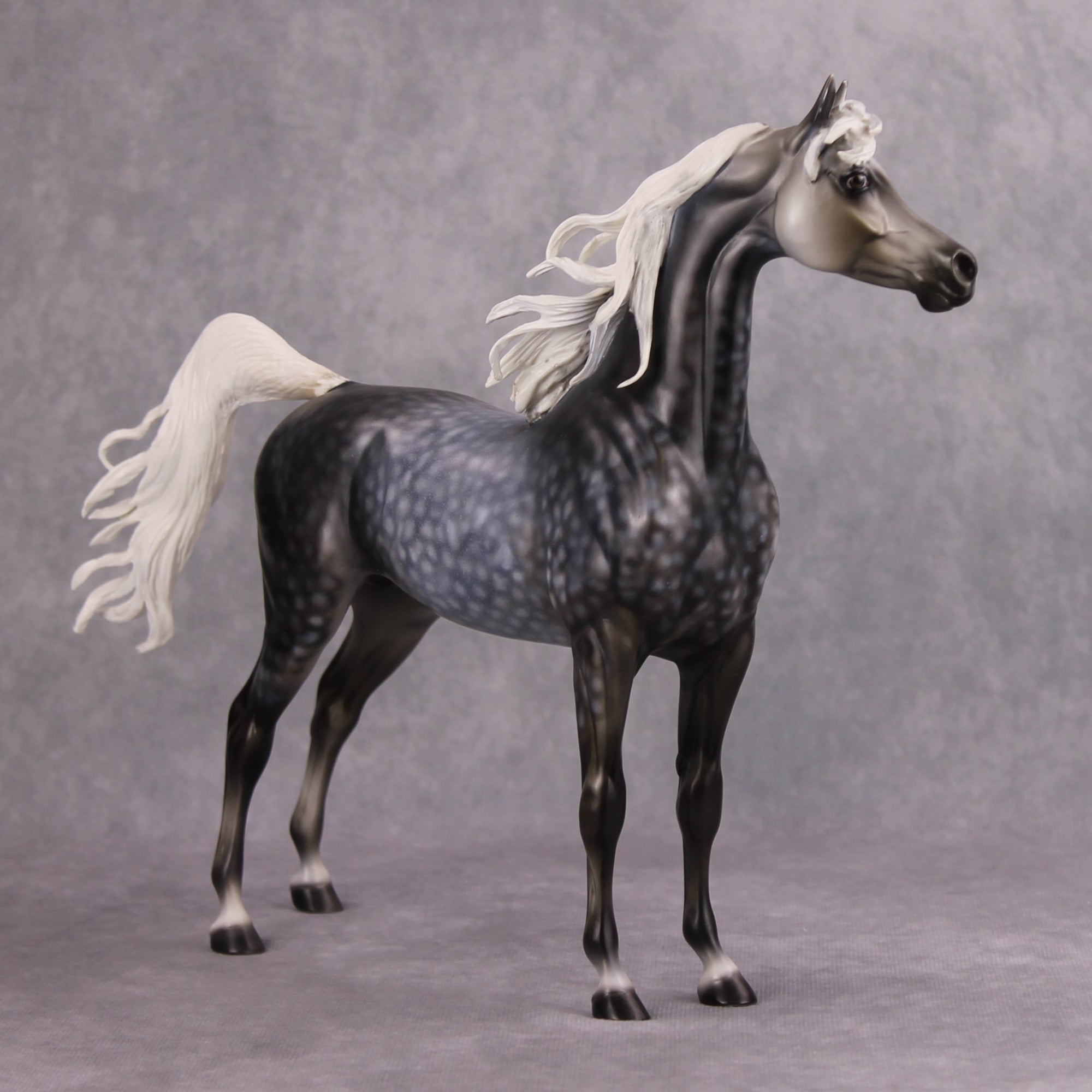 Mystery OOAK Dappled Grey Custom Arabian By Dawn Quick MM24