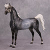 PREVIEW LISTING ONLY Mystery OOAK Dappled Grey Custom Arabian By Dawn Quick MM24