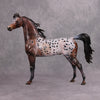 PREVIEW LISTING ONLY Make My Day OOAK Bay Appaloosa Custom Arabian By Dawn Quick MM24