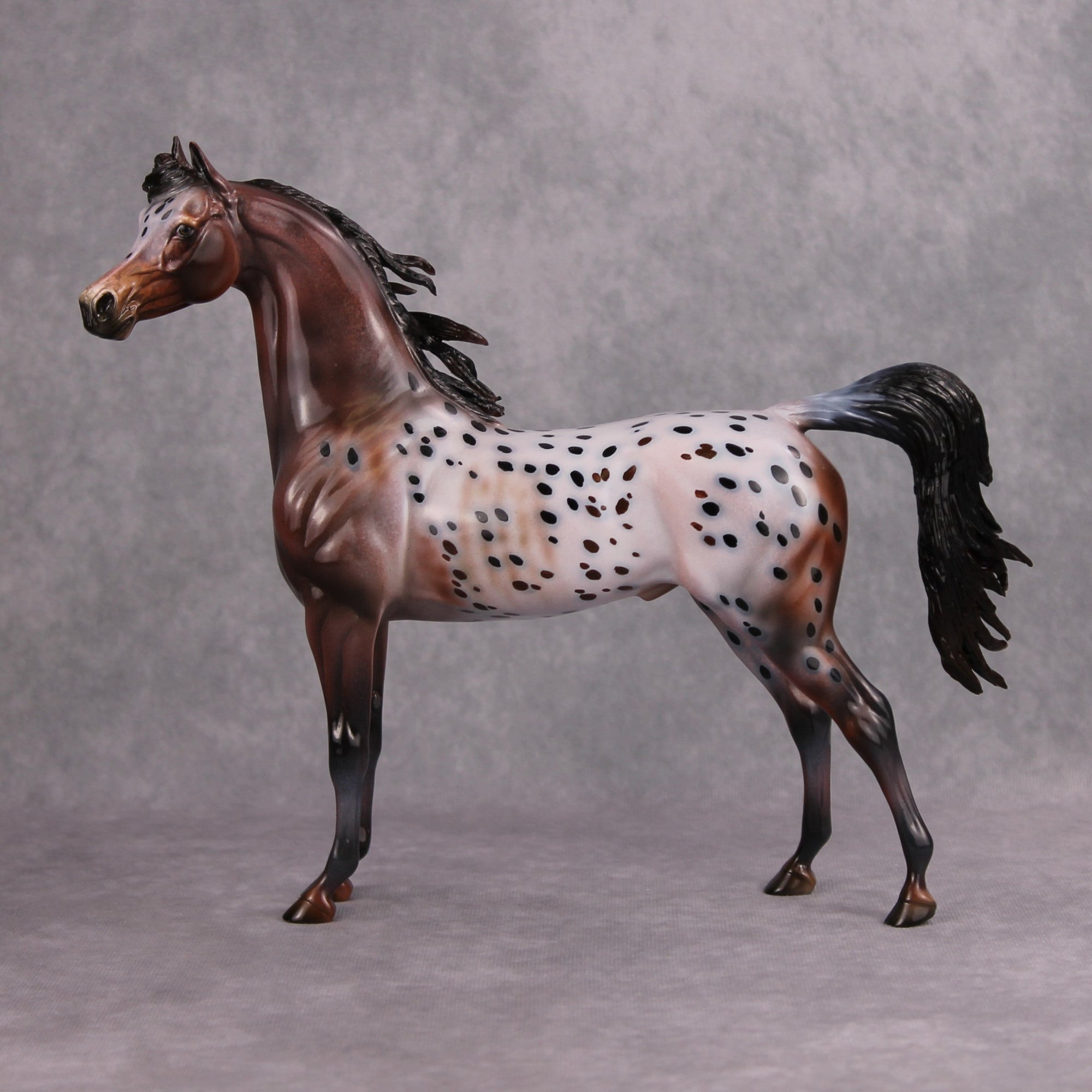 PREVIEW LISTING ONLY Make My Day OOAK Bay Appaloosa Custom Arabian By Dawn Quick MM24