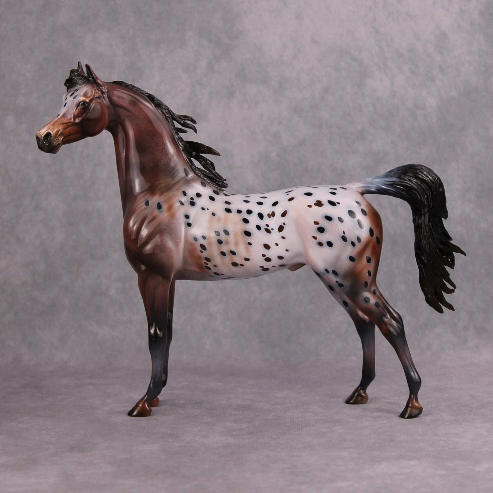 Make My Day OOAK Bay Appaloosa Custom Arabian By Dawn Quick MM24