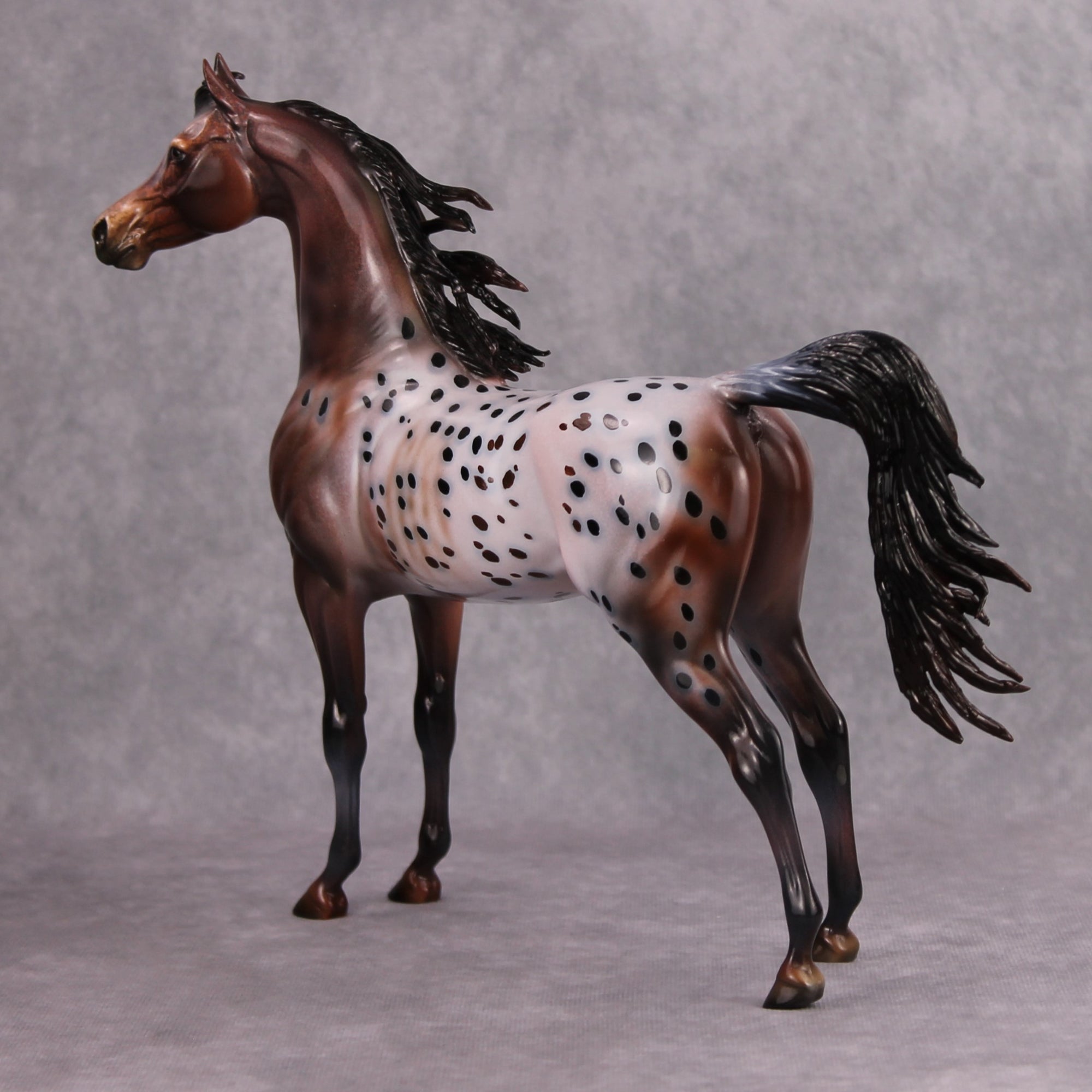 Make My Day OOAK Bay Appaloosa Custom Arabian By Dawn Quick MM24