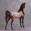 PREVIEW LISTING ONLY Make My Day OOAK Bay Appaloosa Custom Arabian By Dawn Quick MM24