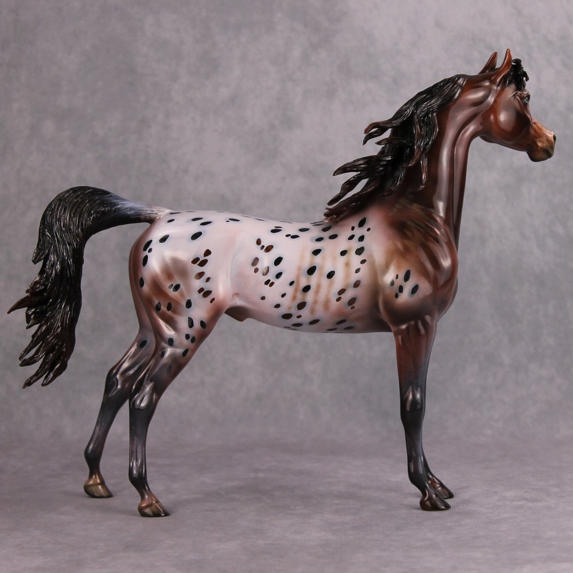 Make My Day OOAK Bay Appaloosa Custom Arabian By Dawn Quick MM24