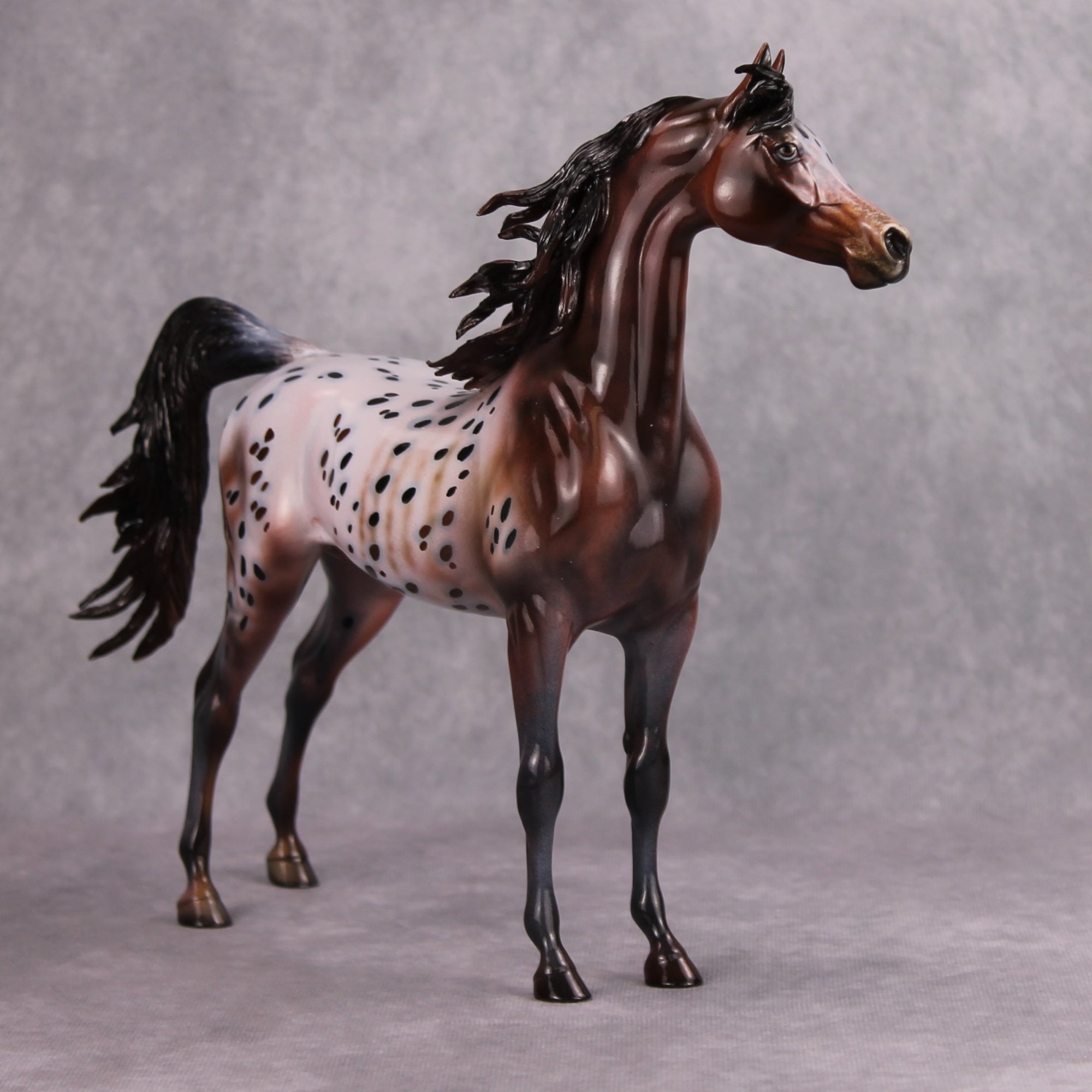 Make My Day OOAK Bay Appaloosa Custom Arabian By Dawn Quick MM24