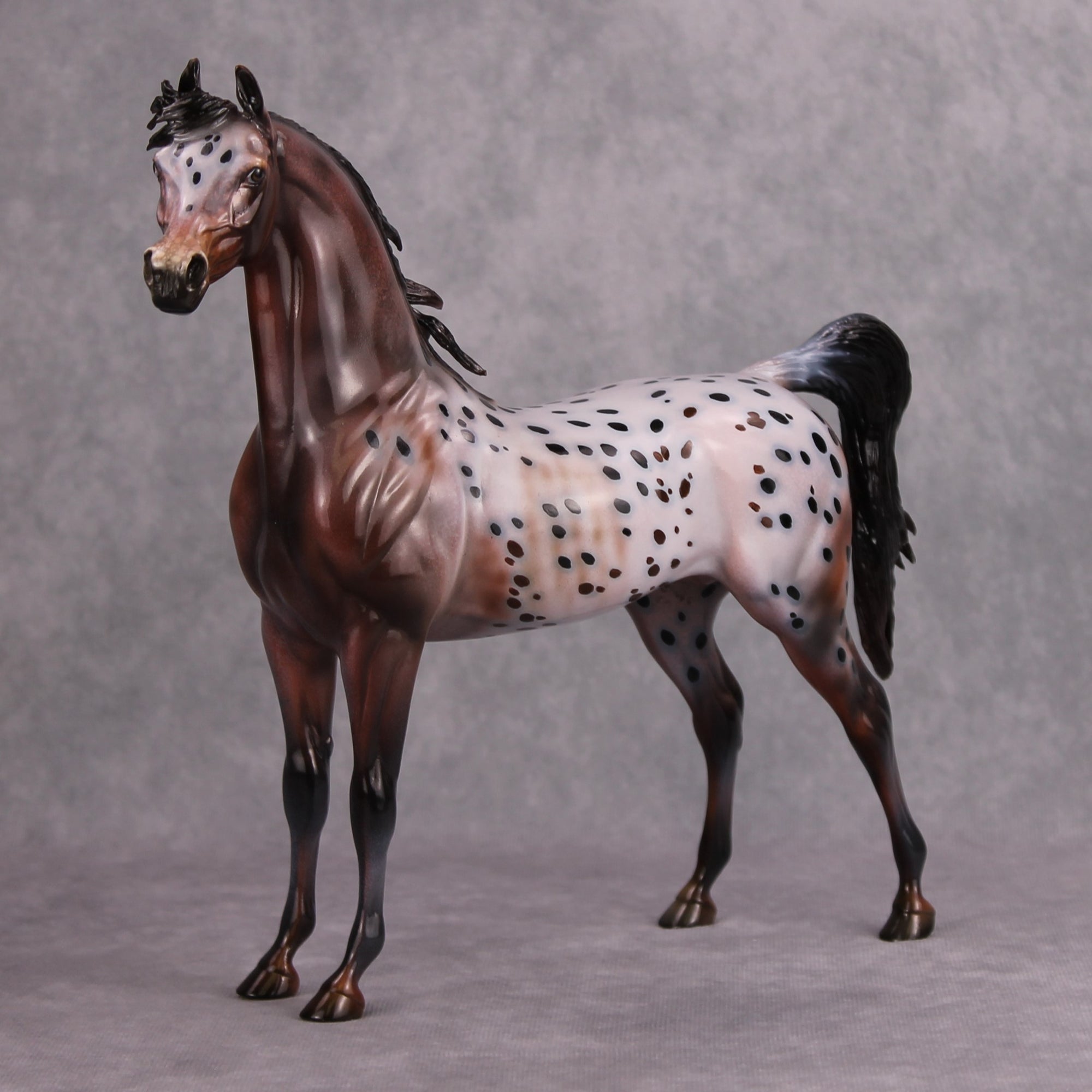 Make My Day OOAK Bay Appaloosa Custom Arabian By Dawn Quick MM24