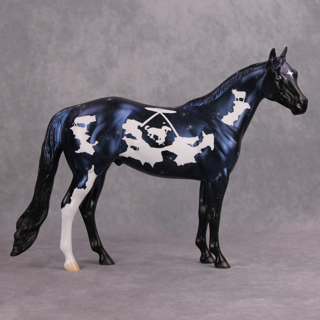 SAMPLE UFO Rodeo by Jess Hamill SS1026