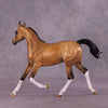 Cosette OOAK FCM Arabian Yearling by Julie Keim Best Offer 08/12/25