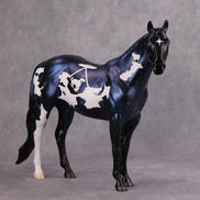 SAMPLE UFO Rodeo by Jess Hamill SS1026