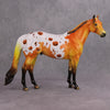 Non Custom Ideal Stock Horse - October Special Release Designs - FTL24