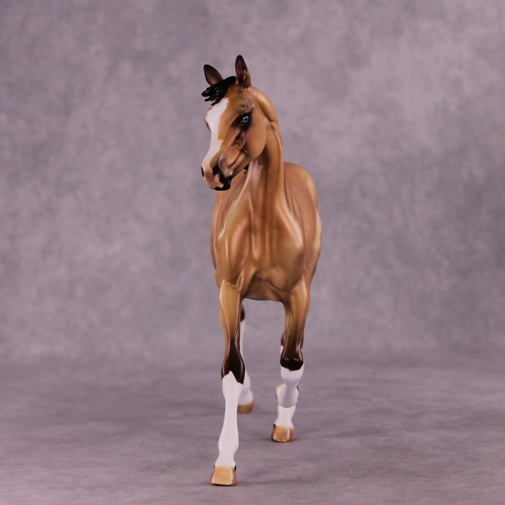 Cosette OOAK FCM Arabian Yearling by Julie Keim Best Offer 08/12/25