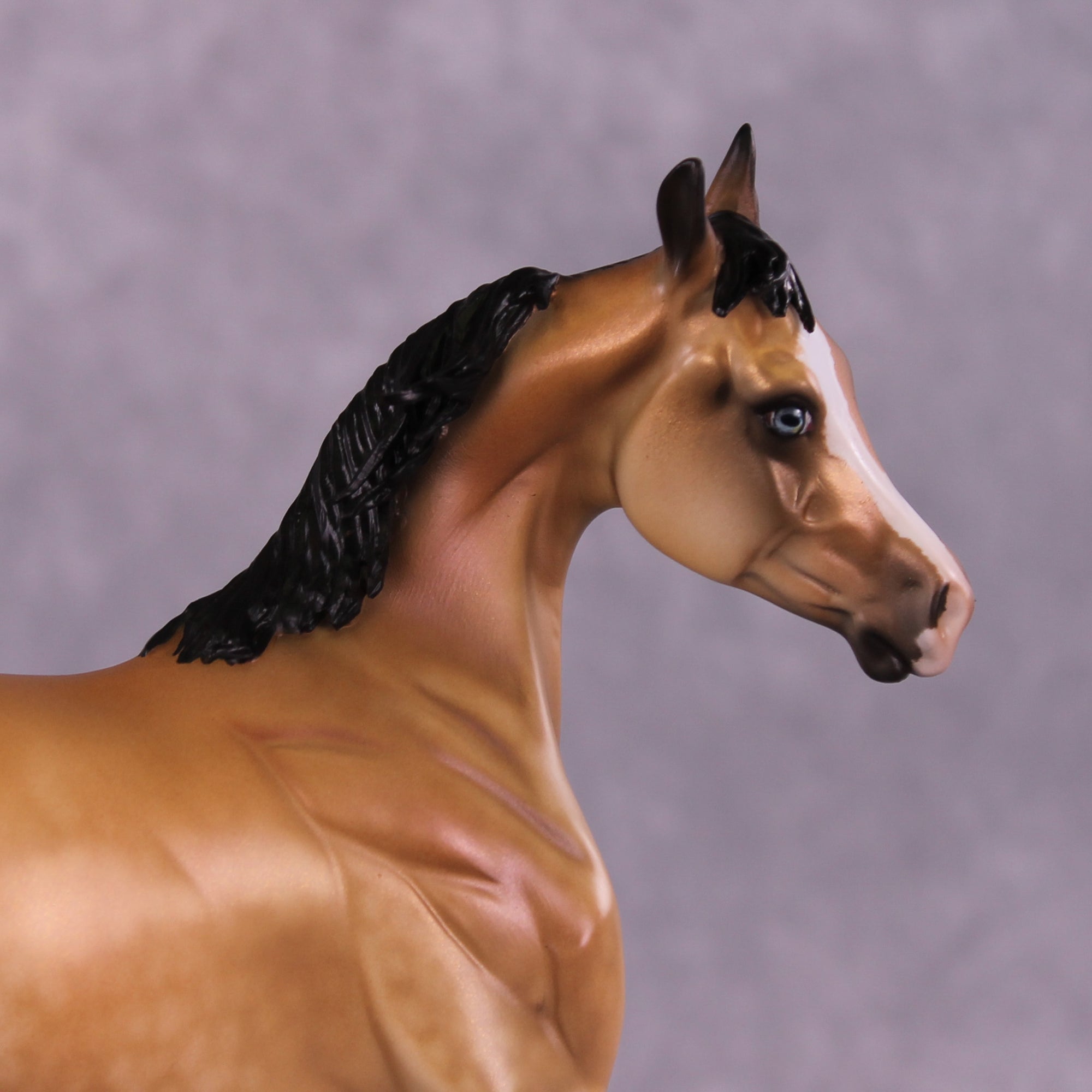 Cosette OOAK FCM Arabian Yearling by Julie Keim Best Offer 08/12/25