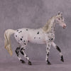 &quot;Soot Sprite&quot; OOAK FCM Arab Mare By Ellen Robbins SHCF25