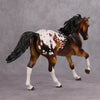 PREVIEW LISTING ONLY Never Say Die OOAK Bay Skull Deco Foundation Quarter Horse By Dawn Quick MM24