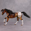 PREVIEW LISTING ONLY Never Say Die OOAK Bay Skull Deco Foundation Quarter Horse By Dawn Quick MM24