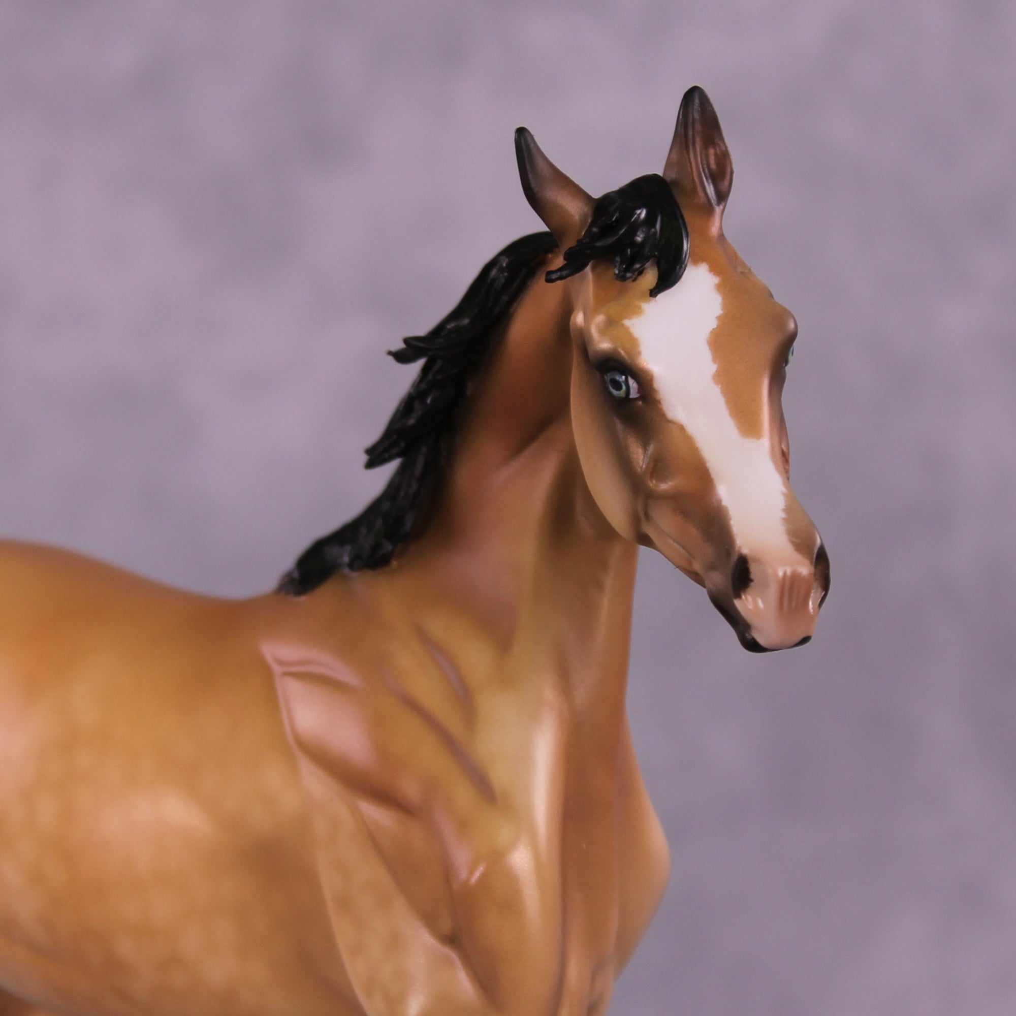 Cosette OOAK FCM Arabian Yearling by Julie Keim Best Offer 08/12/25