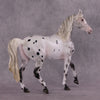 &quot;Soot Sprite&quot; OOAK FCM Arab Mare By Ellen Robbins SHCF25