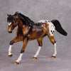 PREVIEW LISTING ONLY Never Say Die OOAK Bay Skull Deco Foundation Quarter Horse By Dawn Quick MM24