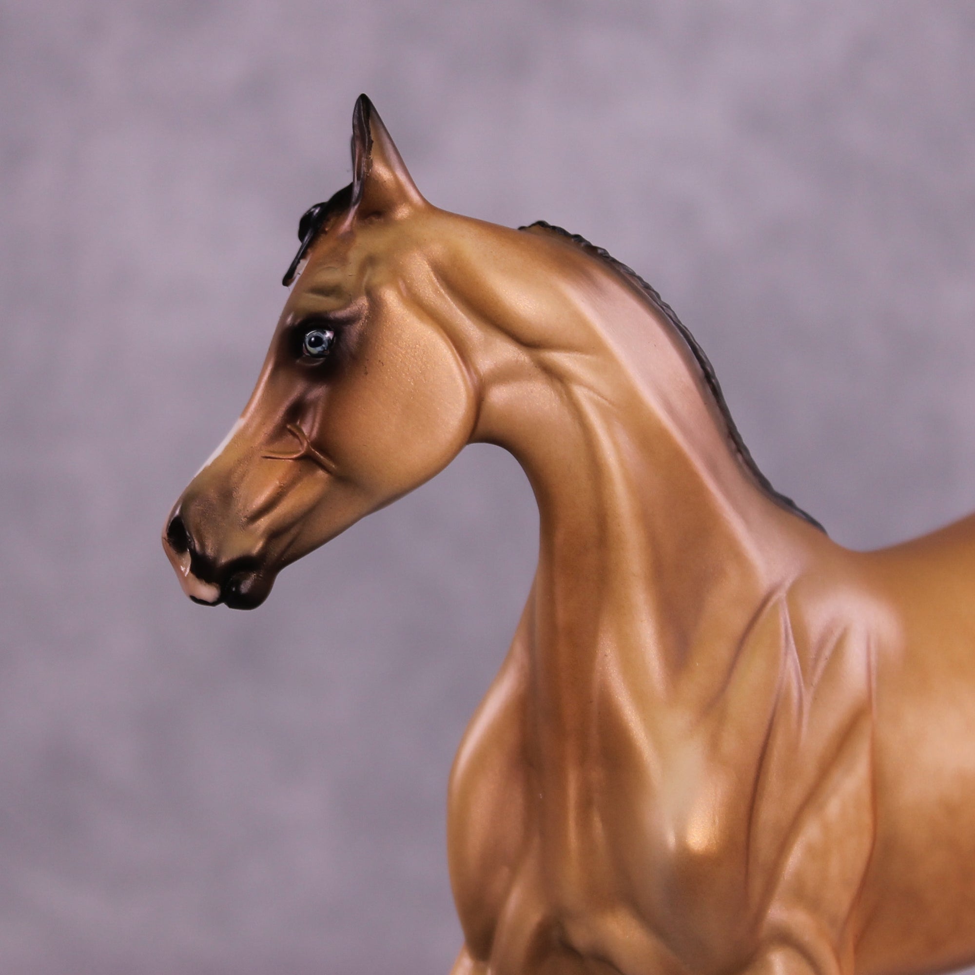 Cosette OOAK FCM Arabian Yearling by Julie Keim Best Offer 08/12/25