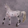 &quot;Soot Sprite&quot; OOAK FCM Arab Mare By Ellen Robbins SHCF25