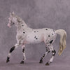 &quot;Soot Sprite&quot; OOAK FCM Arab Mare By Ellen Robbins SHCF25