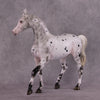 &quot;Soot Sprite&quot; OOAK FCM Arab Mare By Ellen Robbins SHCF25