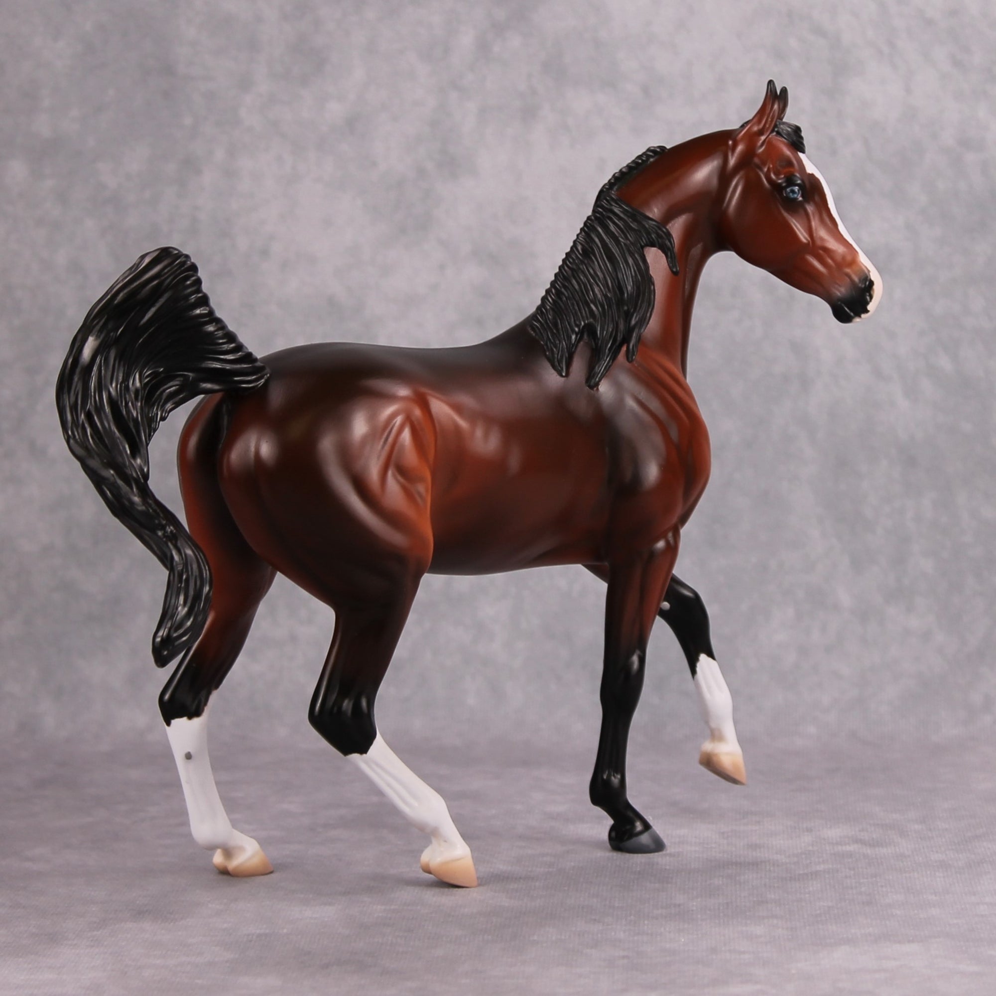 Kharisma OOAK Shaded Bay Arab Mare By Visiting Artist Kirsten Wellman MM24