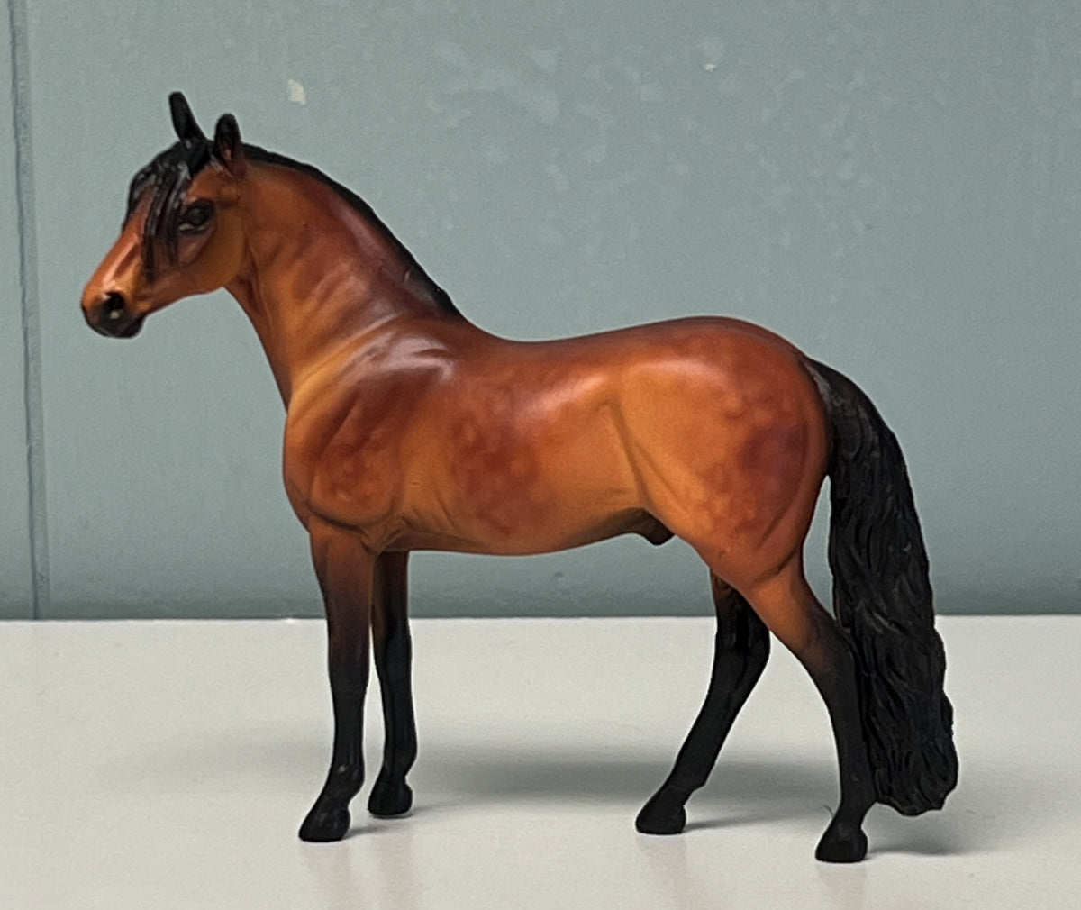 Alejandro Andalusian Red Bay Chip SAMPLE & OOAK SALE APRIL 2024 SS424