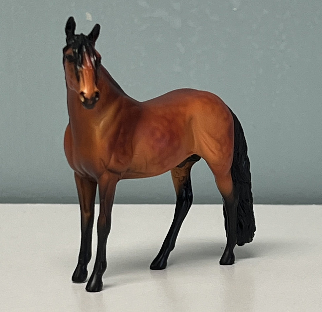 Alejandro Andalusian Red Bay Chip SAMPLE & OOAK SALE APRIL 2024 SS424