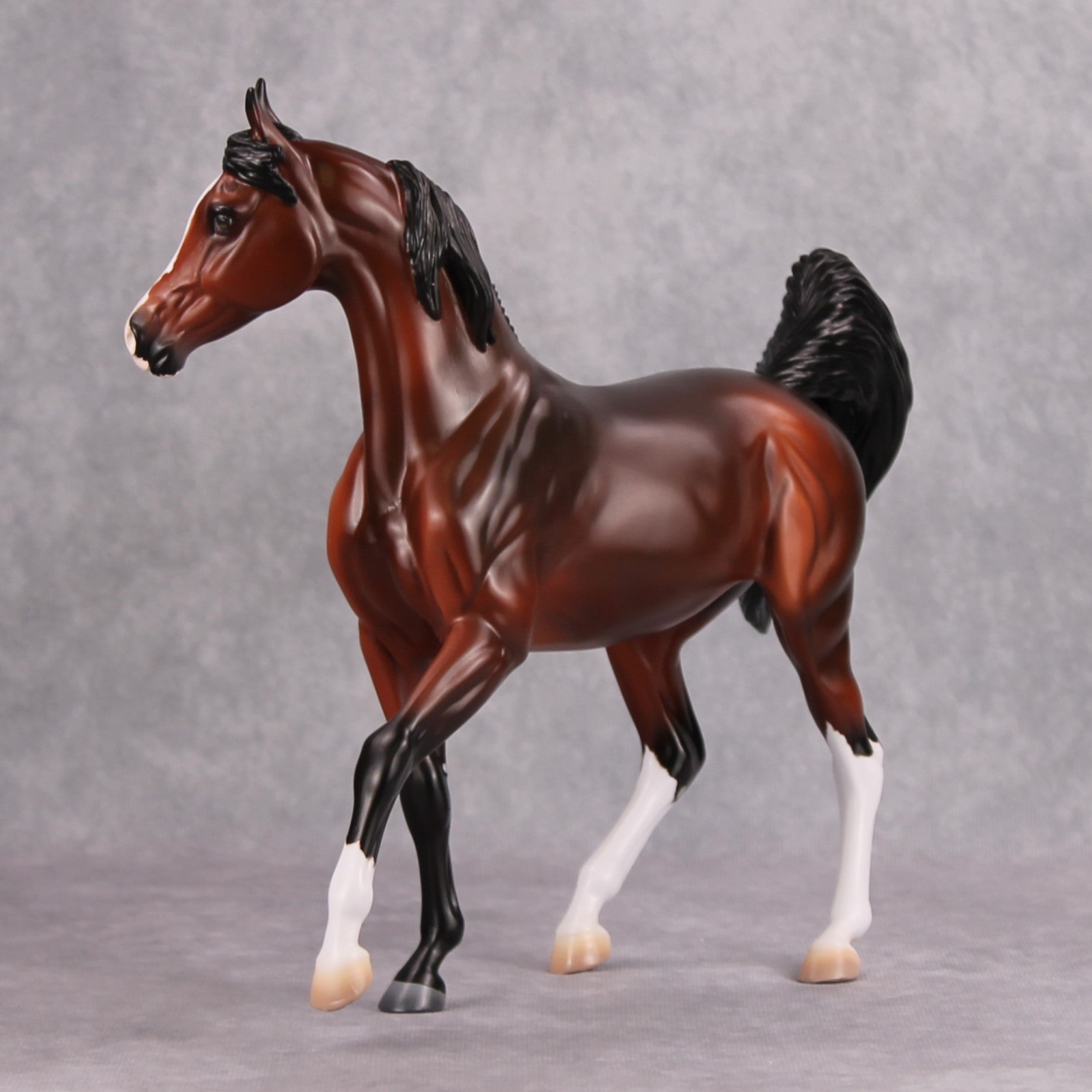 Kharisma OOAK Shaded Bay Arab Mare By Visiting Artist Kirsten Wellman MM24