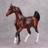 PREVIEW LISTING ONLY Kharisma OOAK Shaded Bay Arab Mare By Visiting Artist Kirsten Wellman MM24