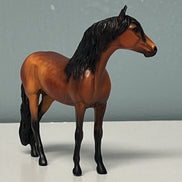 Alejandro Andalusian Red Bay Chip SAMPLE & OOAK SALE APRIL 2024 SS424