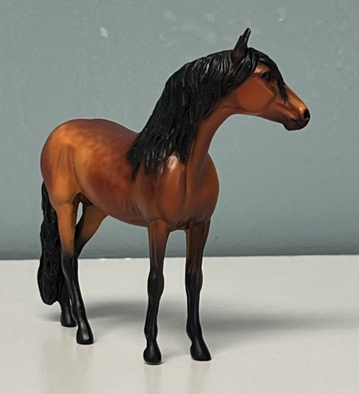 Alejandro Andalusian Red Bay Chip SAMPLE & OOAK SALE APRIL 2024 SS424