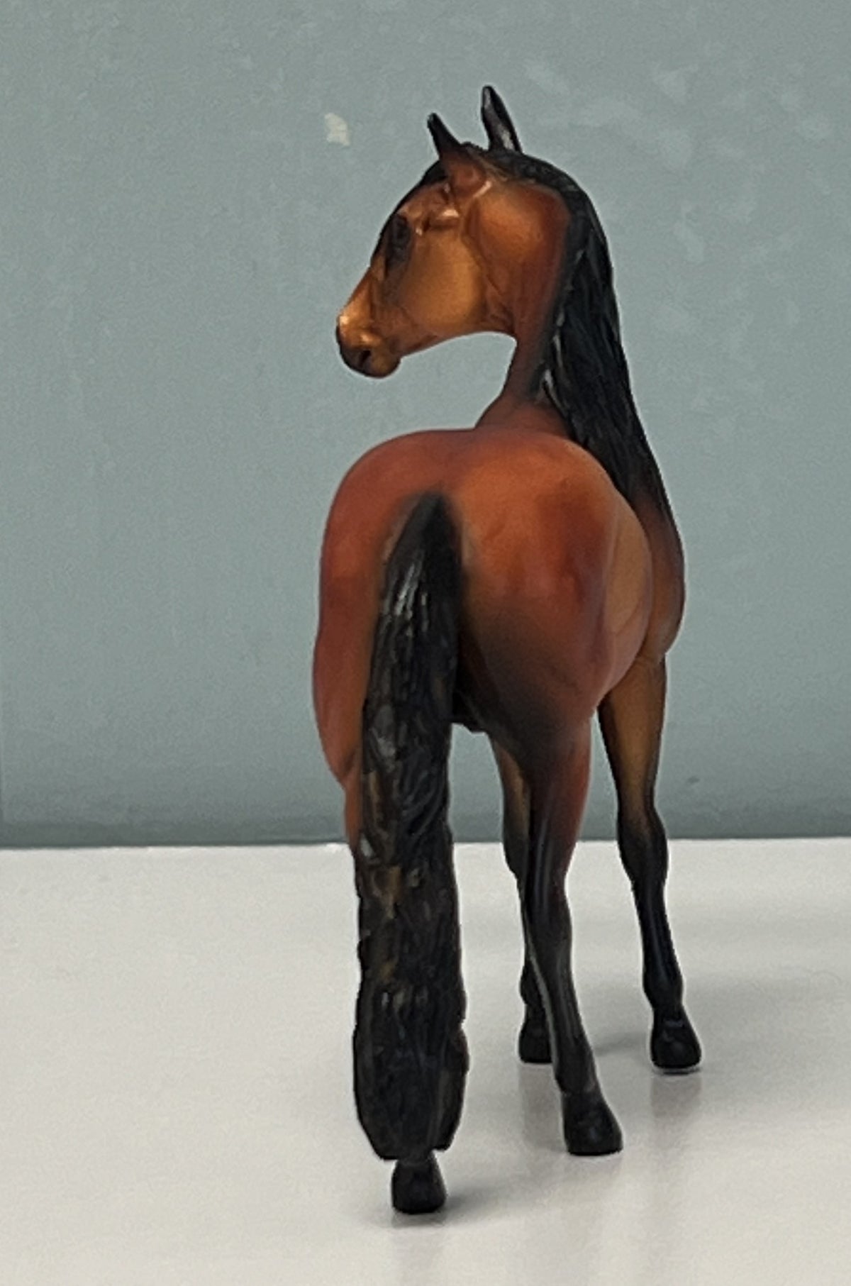 Alejandro Andalusian Red Bay Chip SAMPLE & OOAK SALE APRIL 2024 SS424