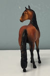 Alejandro Andalusian Red Bay Chip SAMPLE &amp; OOAK SALE APRIL 2024 SS424