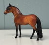 Alejandro Andalusian Red Bay Chip SAMPLE &amp; OOAK SALE APRIL 2024 SS424