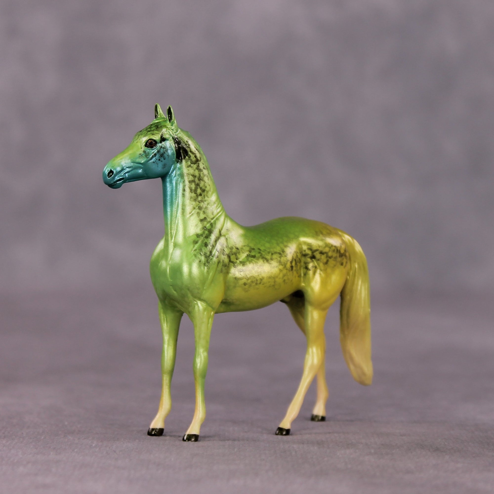 "Viridis" LE-3 Morgan Chip by Jess Hamill - Menagerie Series