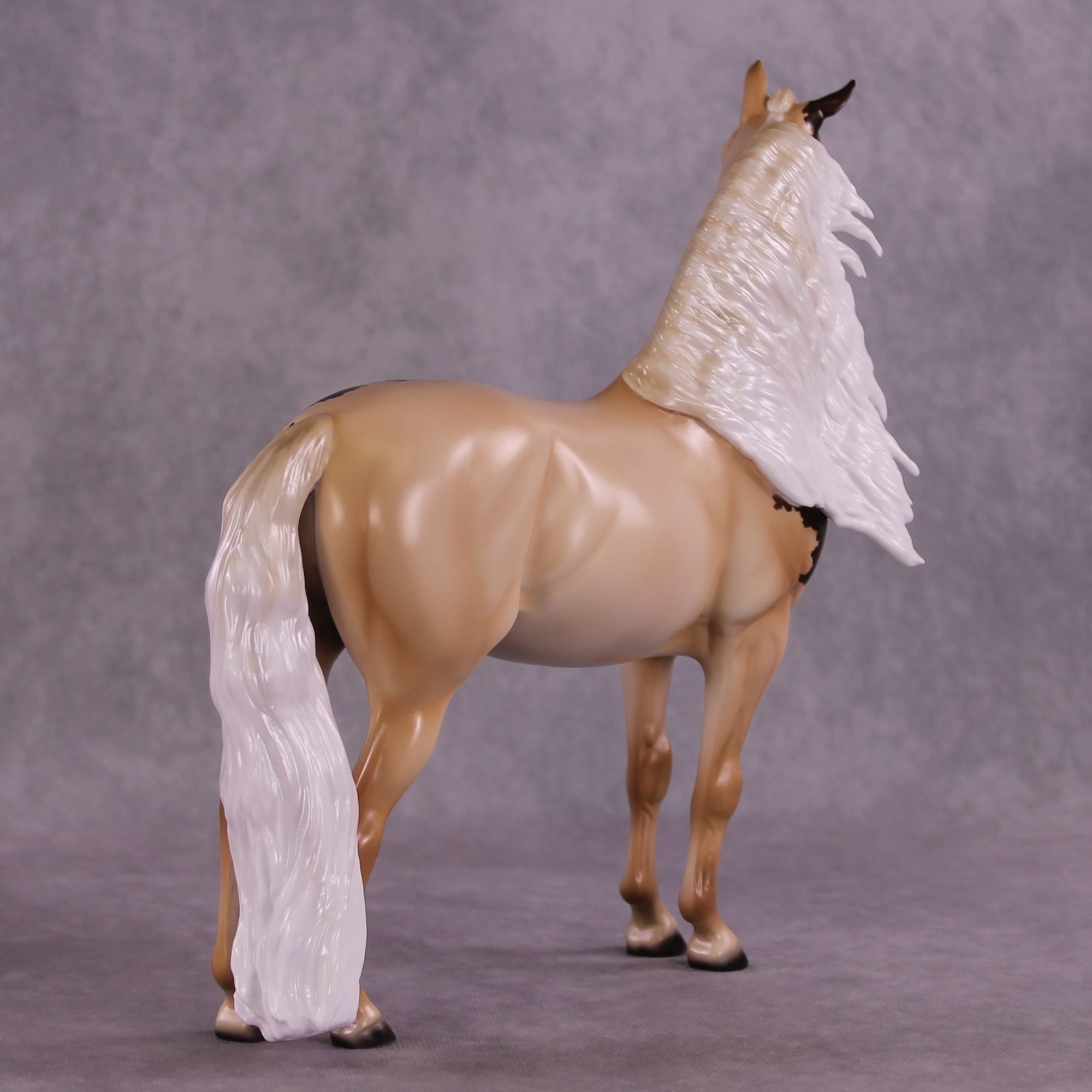 "Pollux" LE-10 FCM Morgan By Ashley Palmer ZS25