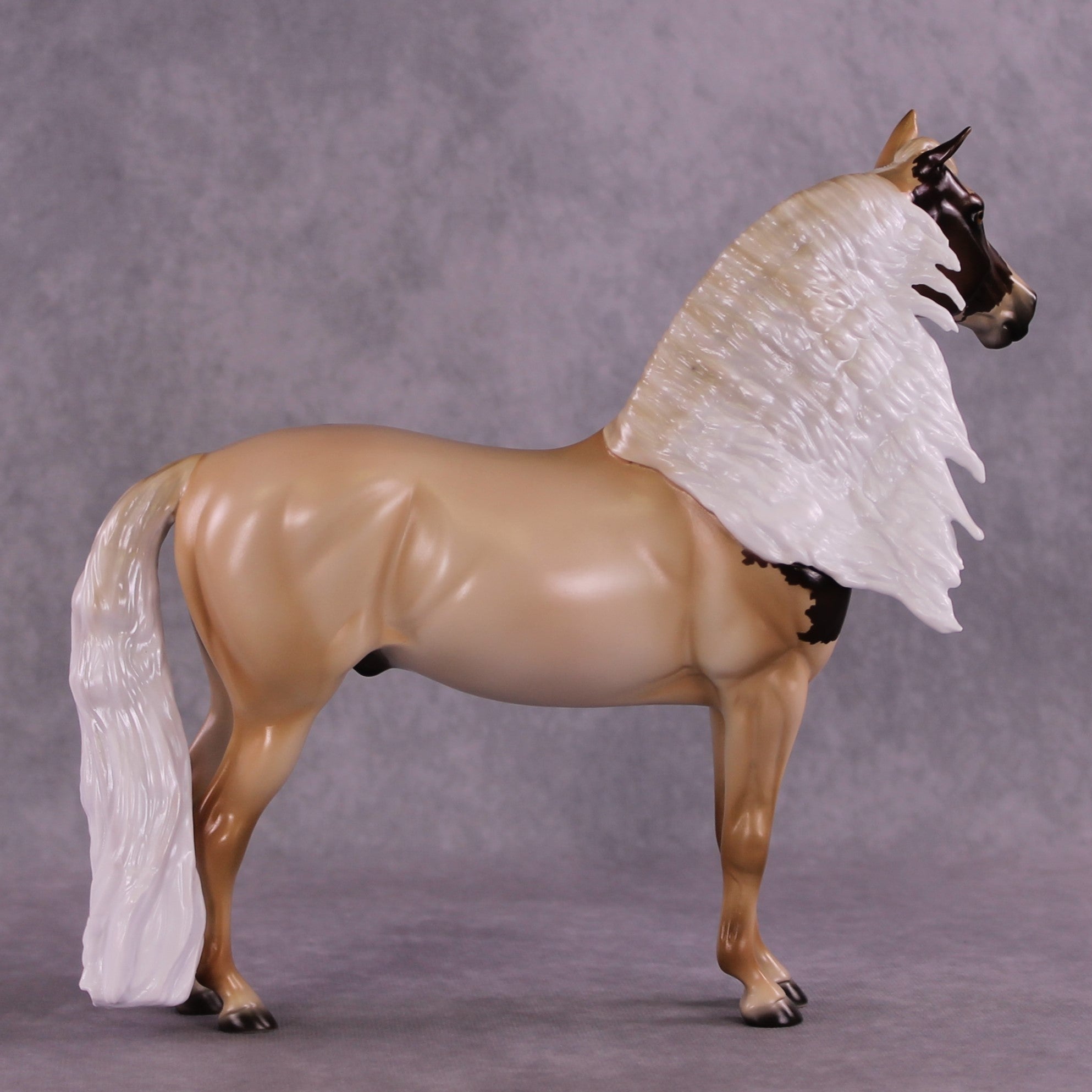 "Pollux" LE-10 FCM Morgan By Ashley Palmer ZS25