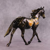 &quot;Live In Concert&quot; OOAK Glossy Palouse by Kike Duarte SHCF25 No Finish Changes
