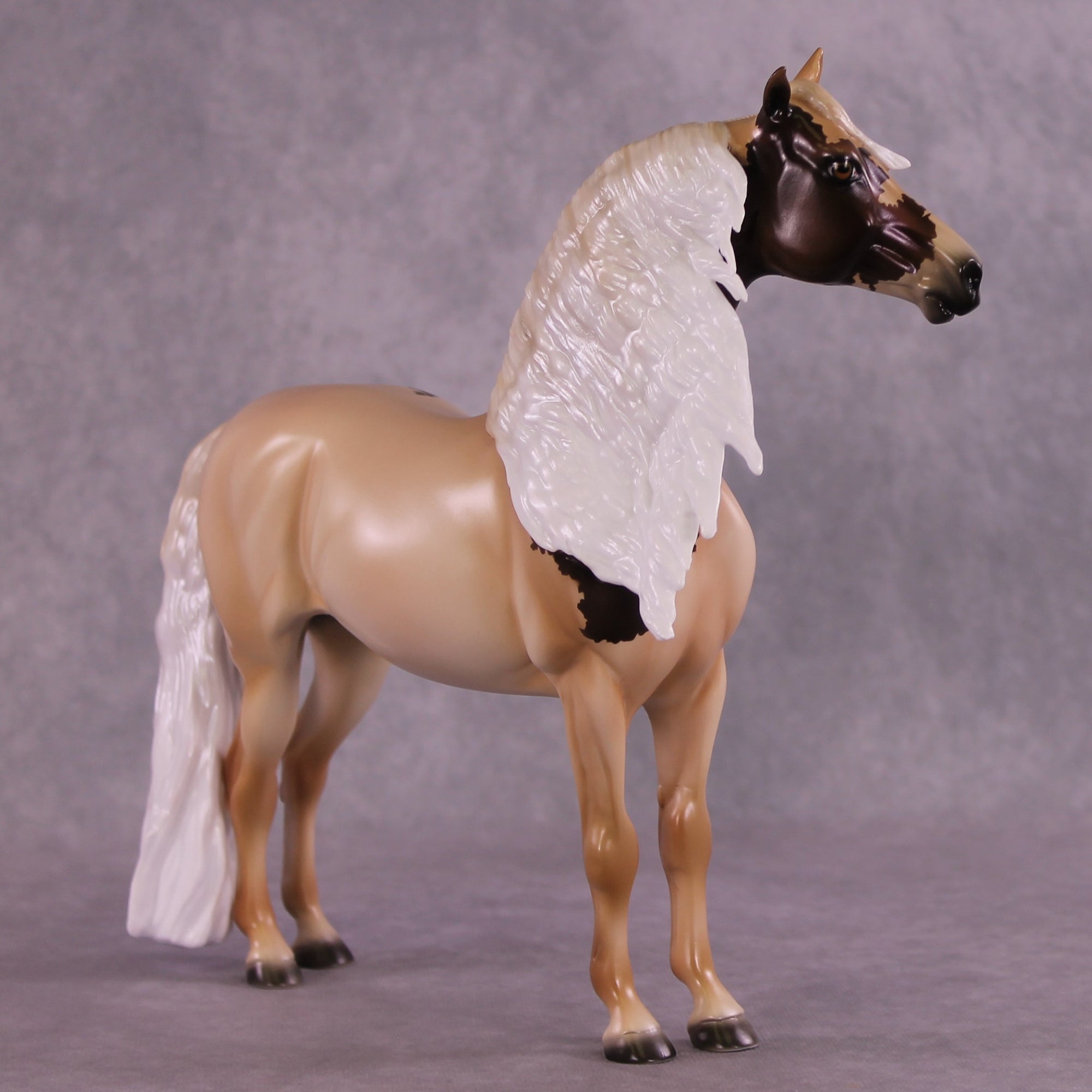 "Pollux" LE-10 FCM Morgan By Ashley Palmer ZS25