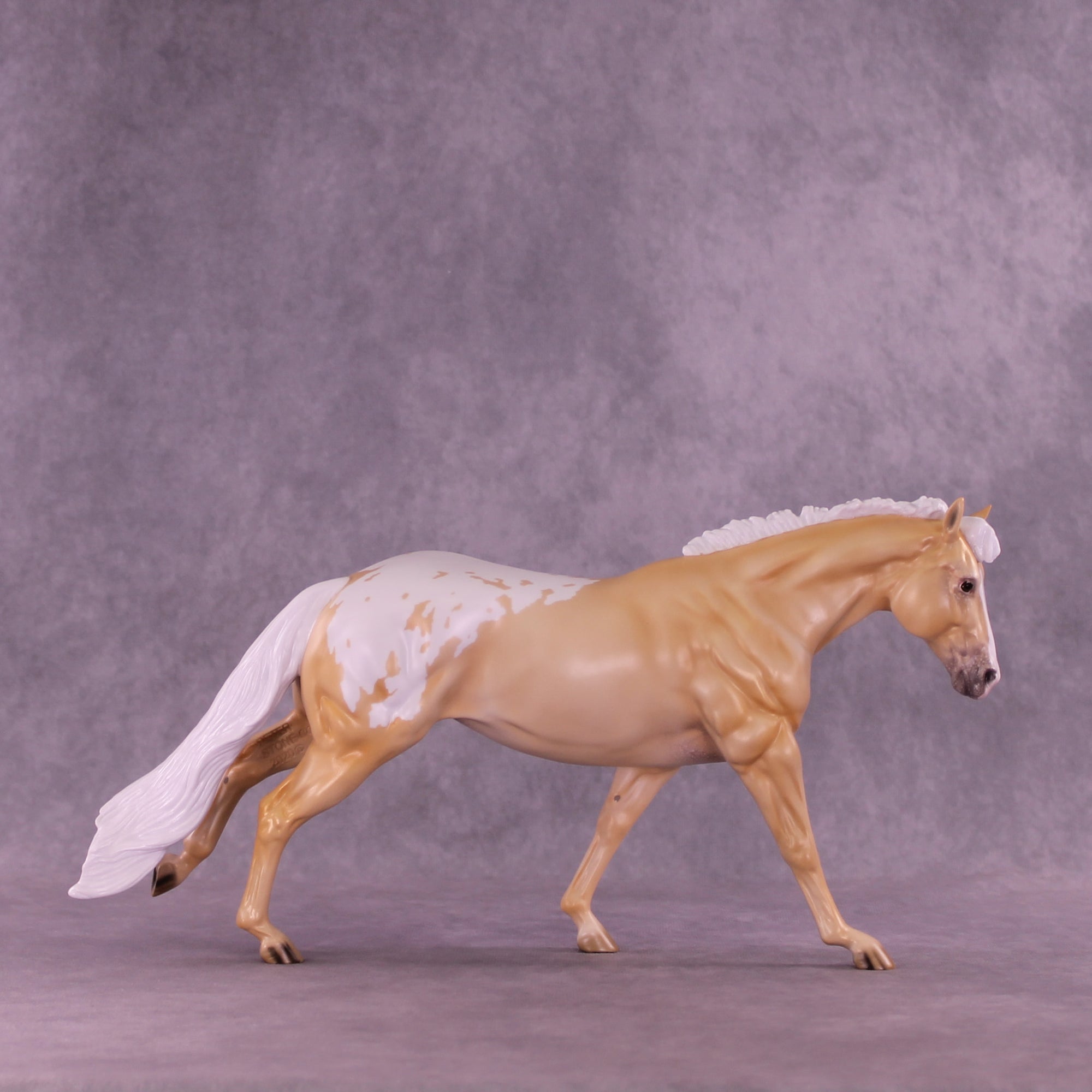 Shy by Day LE-20 FCM Remington by Ellen Robbins TS26