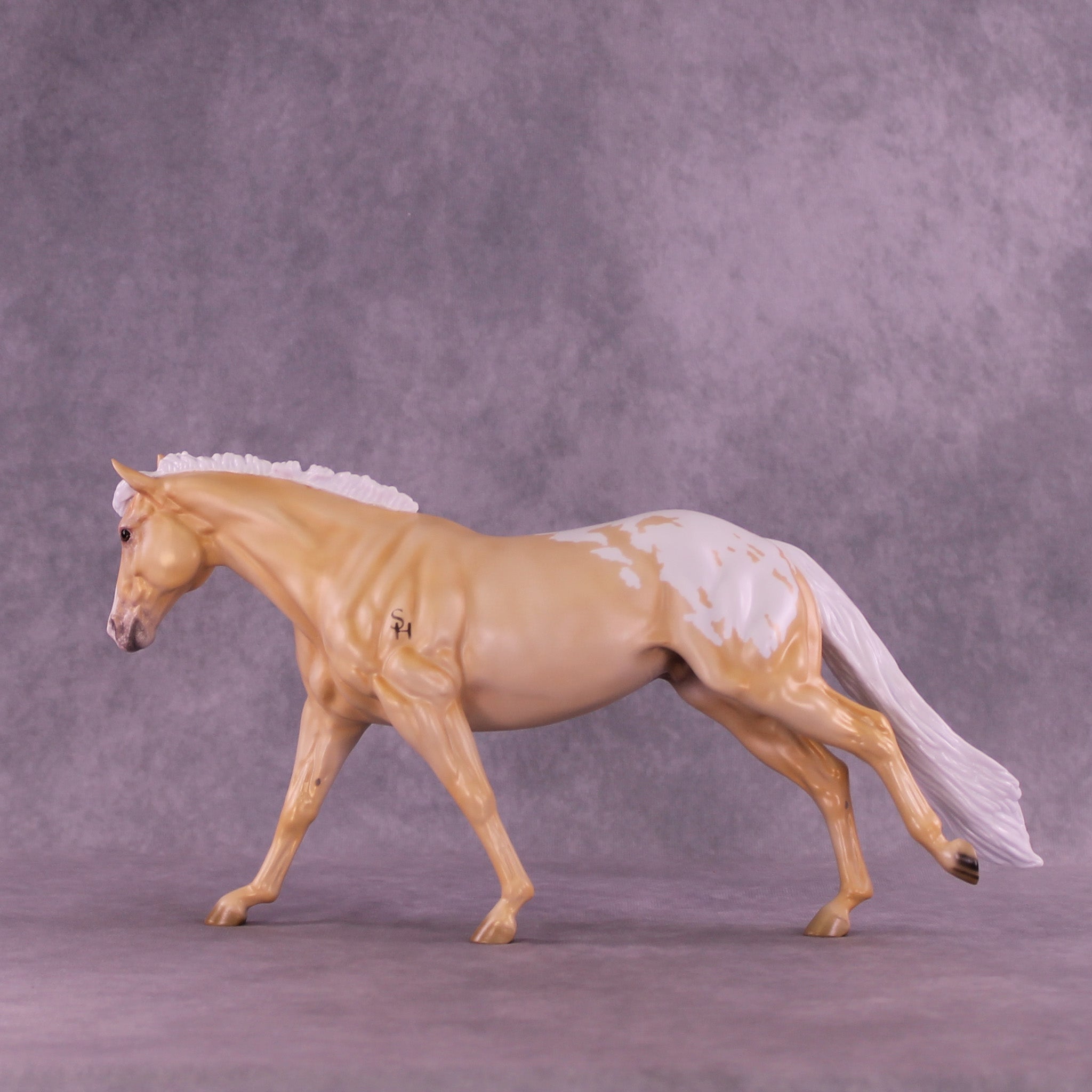 Shy by Day LE-20 FCM Remington by Ellen Robbins TS26