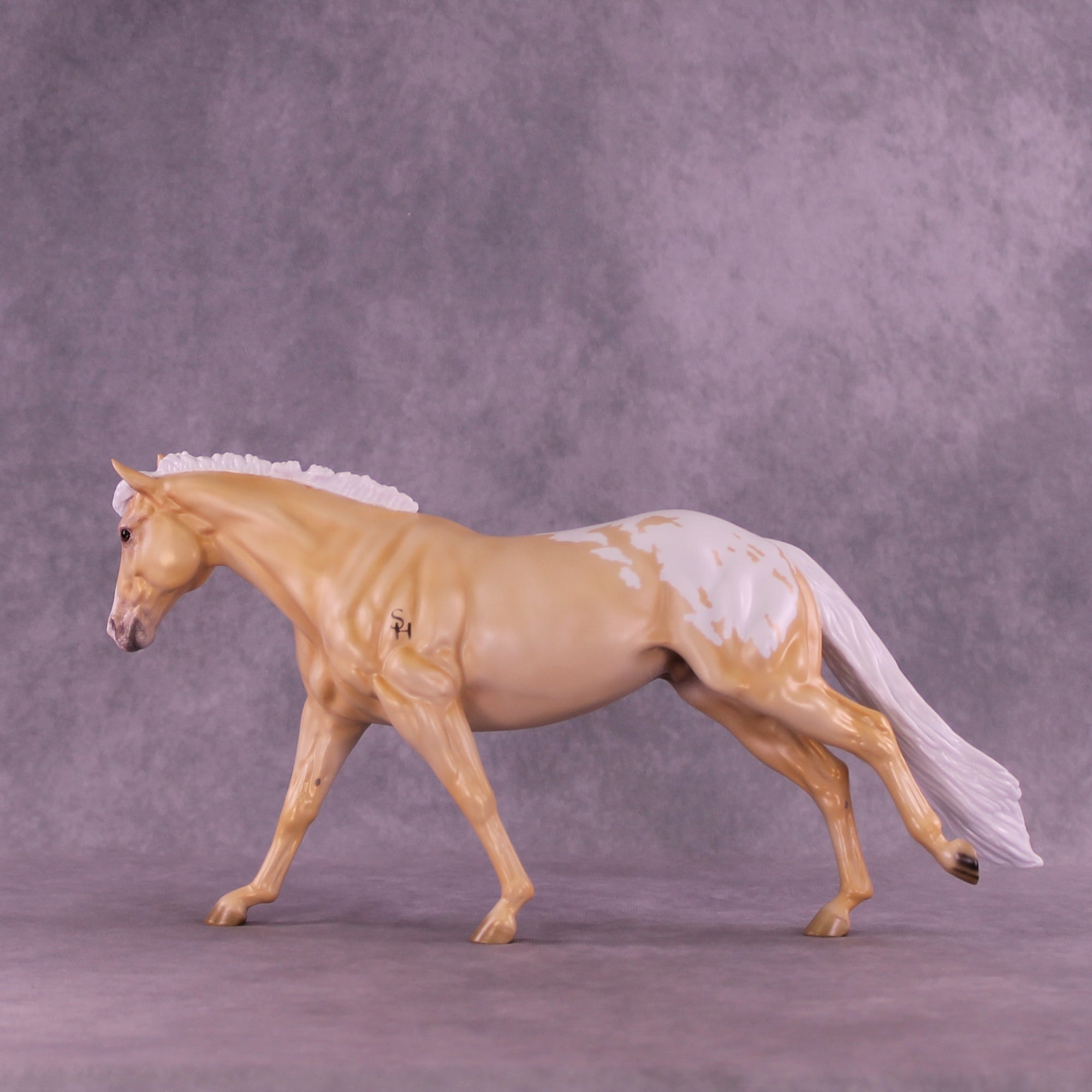 Shy by Day LE-20 FCM Remington by Ellen Robbins TS26