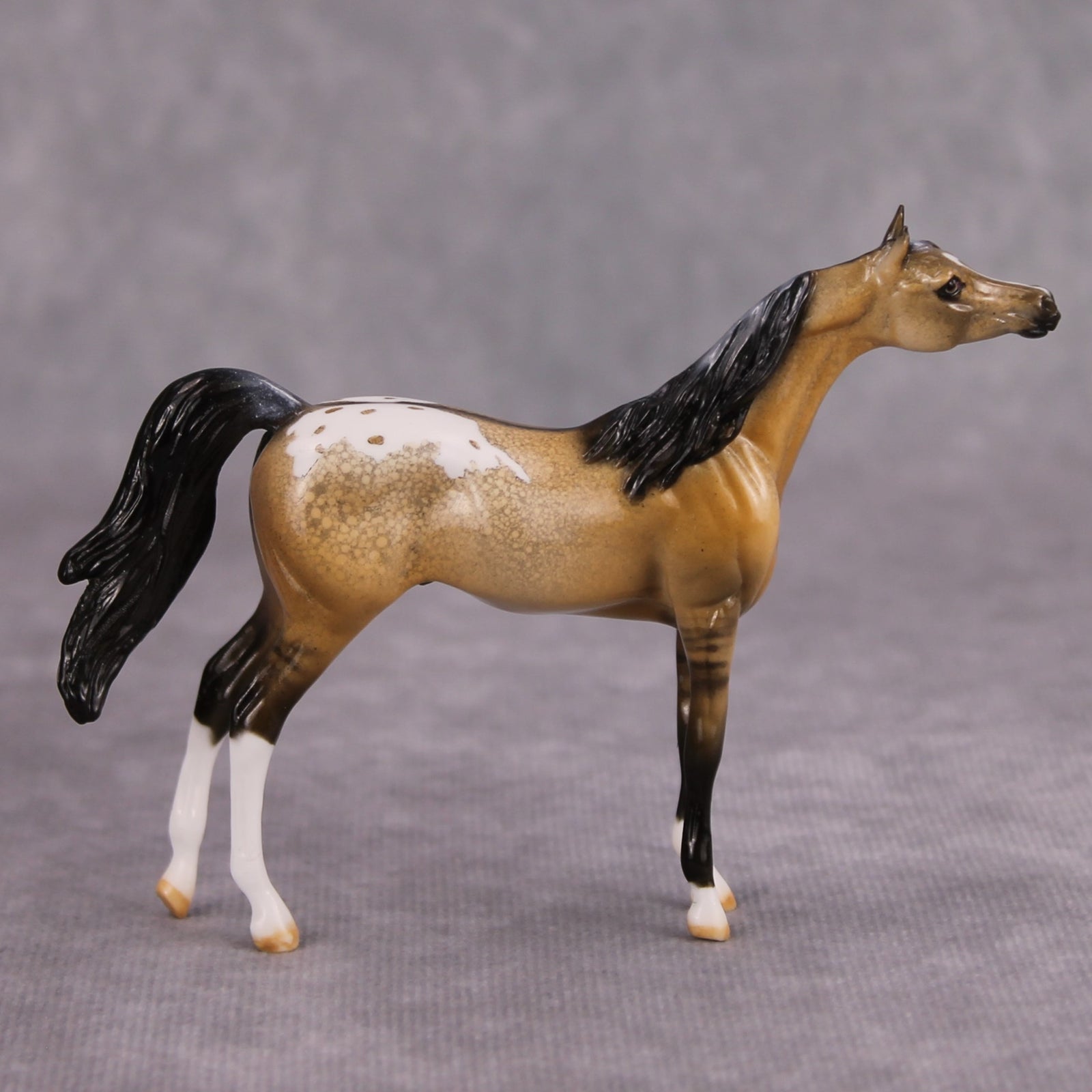 Hennessey OOAK Glossy Buckskin Appaloosa Arabian Chip By Dawn Quick MM24