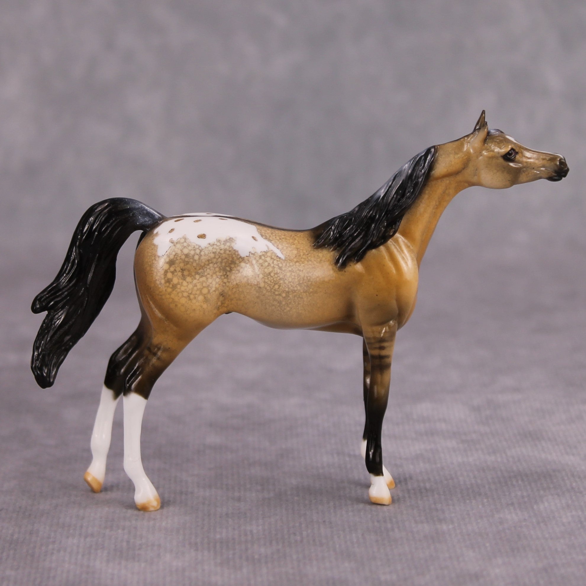 Hennessey OOAK Glossy Buckskin Appaloosa Arabian Chip By Dawn Quick MM24