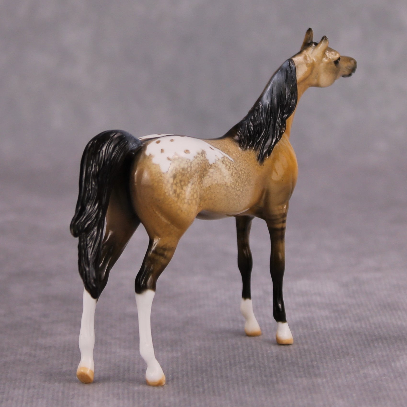 Hennessey OOAK Glossy Buckskin Appaloosa Arabian Chip By Dawn Quick MM24
