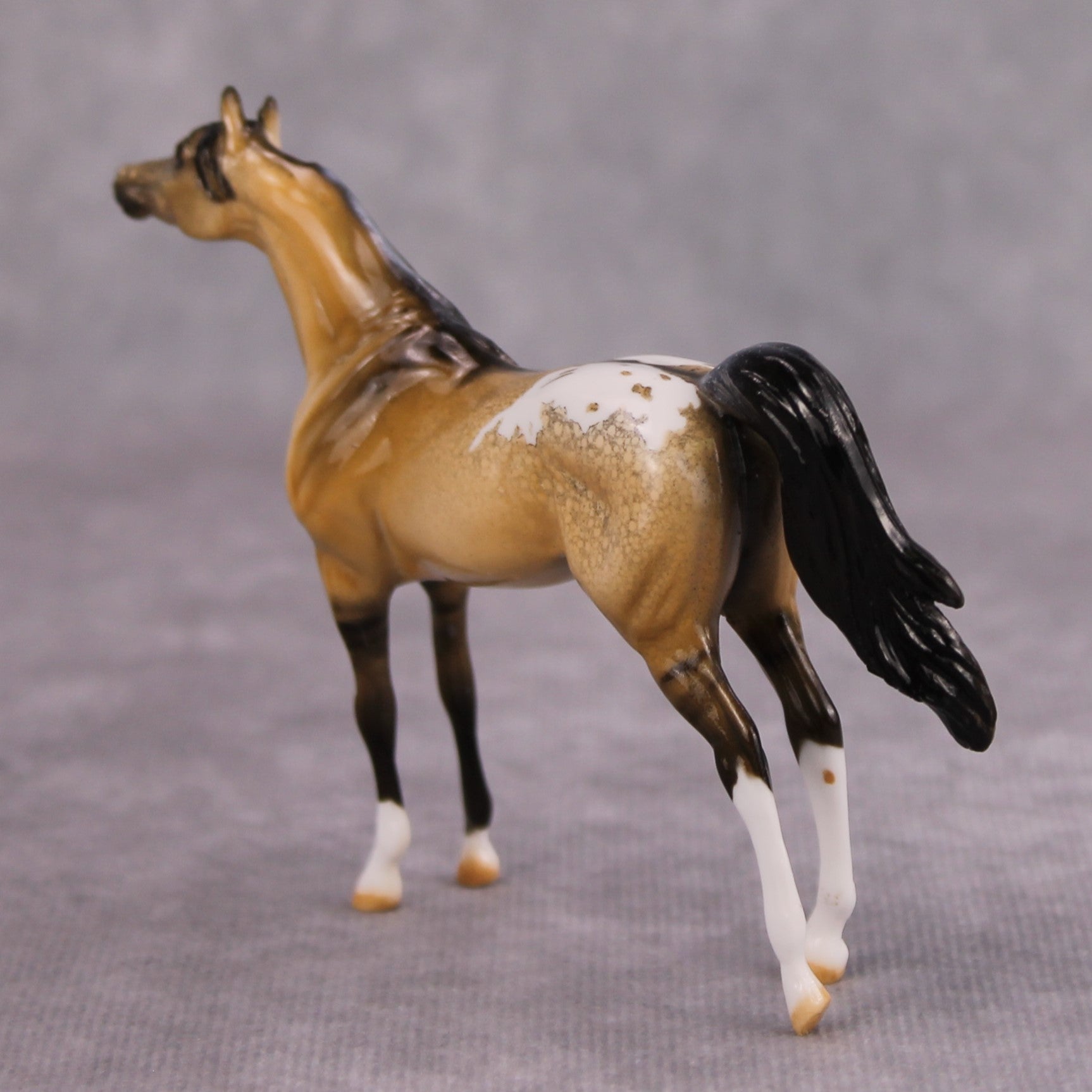 Hennessey OOAK Glossy Buckskin Appaloosa Arabian Chip By Dawn Quick MM24