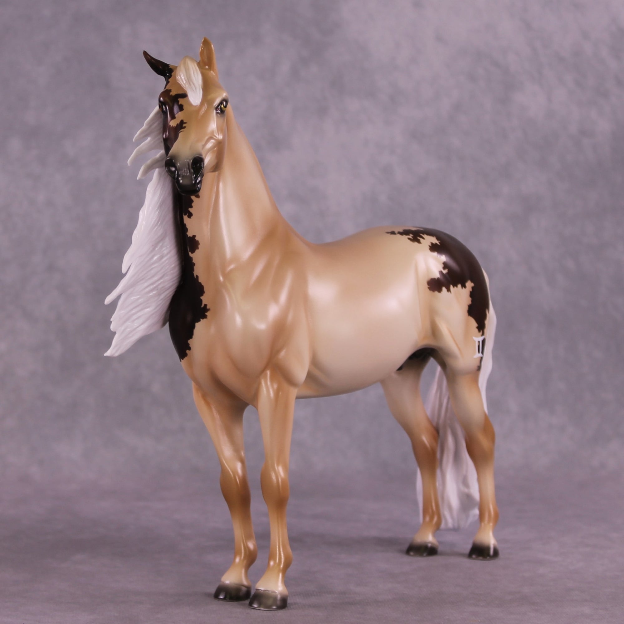 "Pollux" LE-10 FCM Morgan By Ashley Palmer ZS25